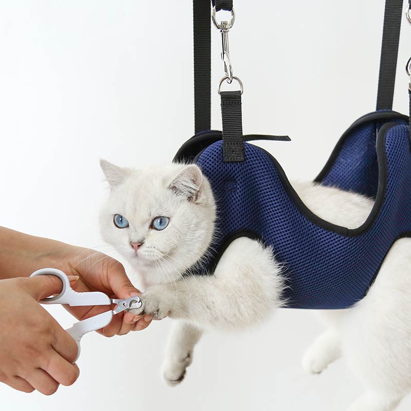 Pflege-Hängematte für Katzen & kleine Hunde