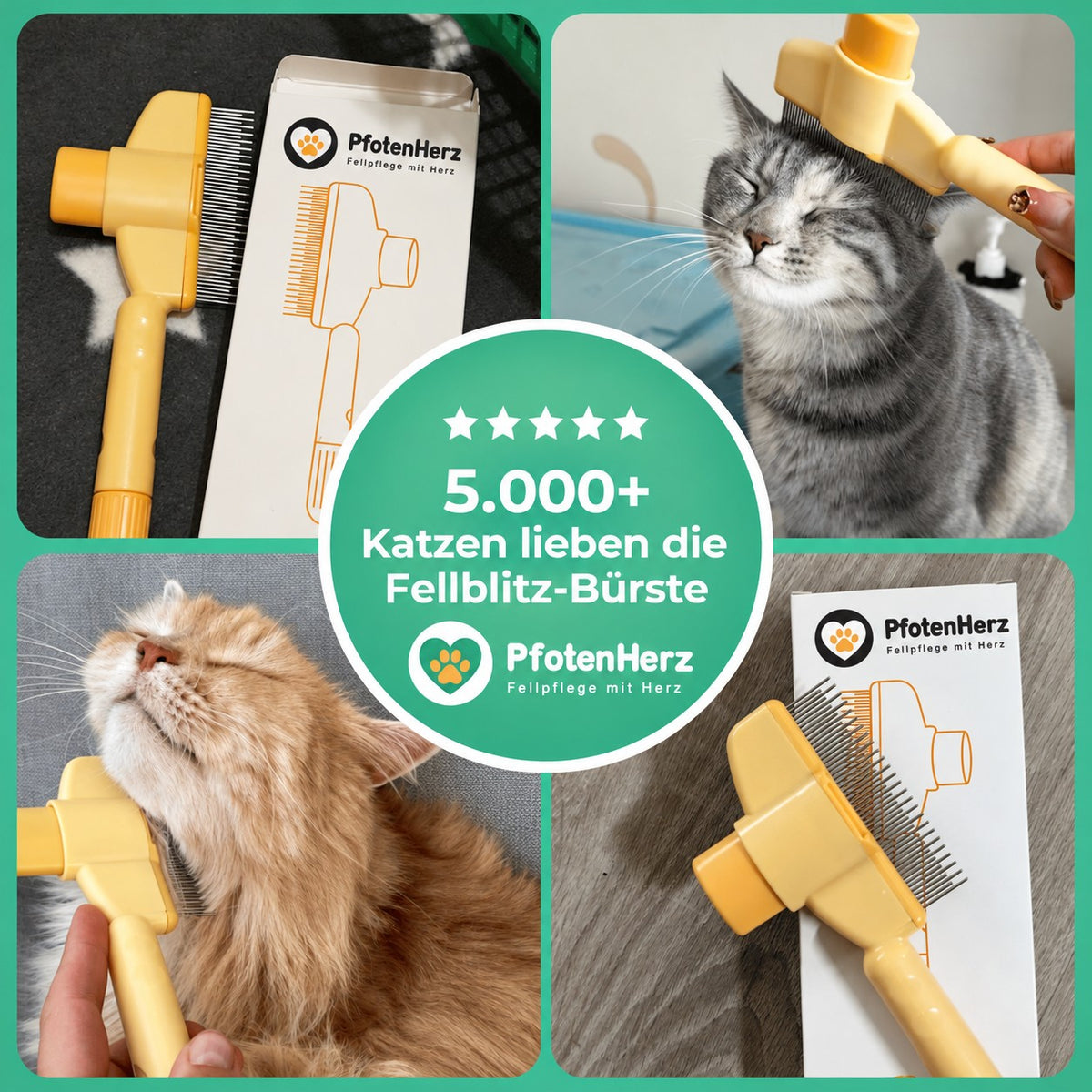 5.000+ Katzen lieben die Fellblitz-Bürste